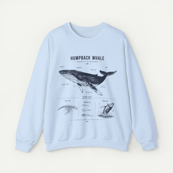 Humpback Whale Anatomy Sweatshirt