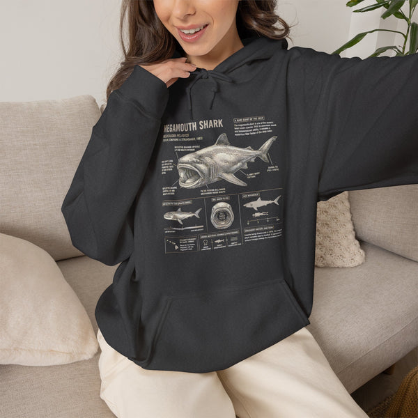 Shark Anatomy Hoodie — Vintage Megalodon Illustration Pullover