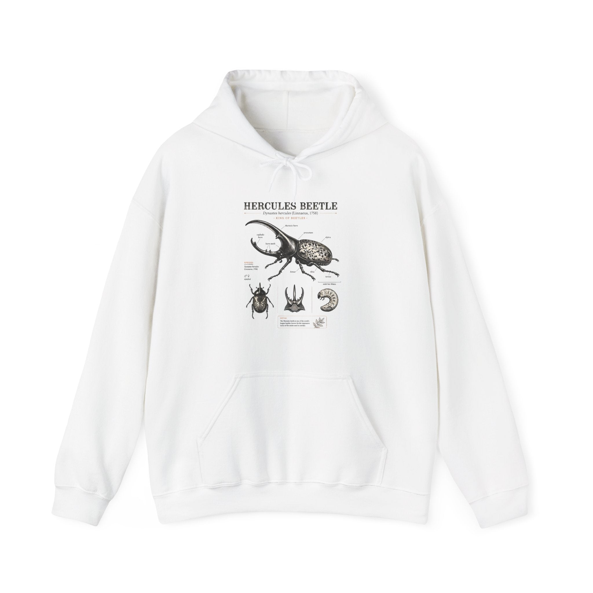 Hercules Beetle Anatomy Hoodie — Vintage Entomology Illustration Sweatshirt Secondary image