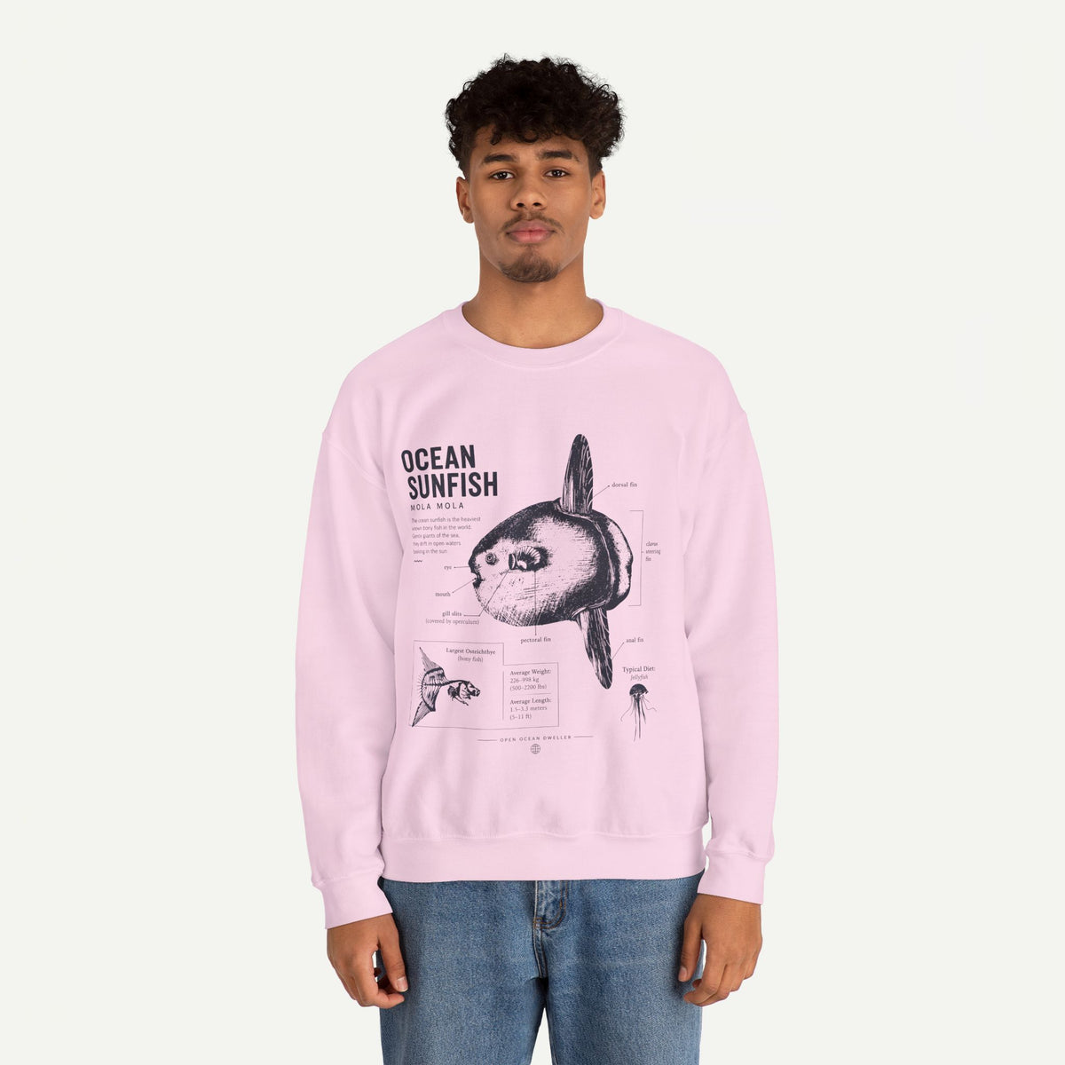 Ocean Sunfish Sweatshirt — Vintage Marine Illustration Pullover
