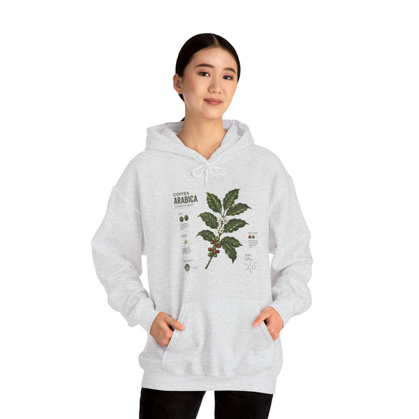 Coffee Plant Hoodie — Coffea Arabica Botanical Illustration Sweatshirt