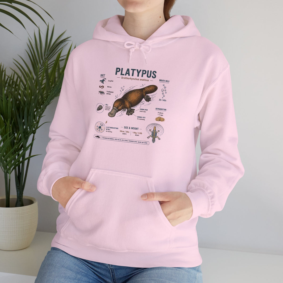 Platypus Anatomy Hoodie — Scientific Illustration Pullover for Nature Lovers