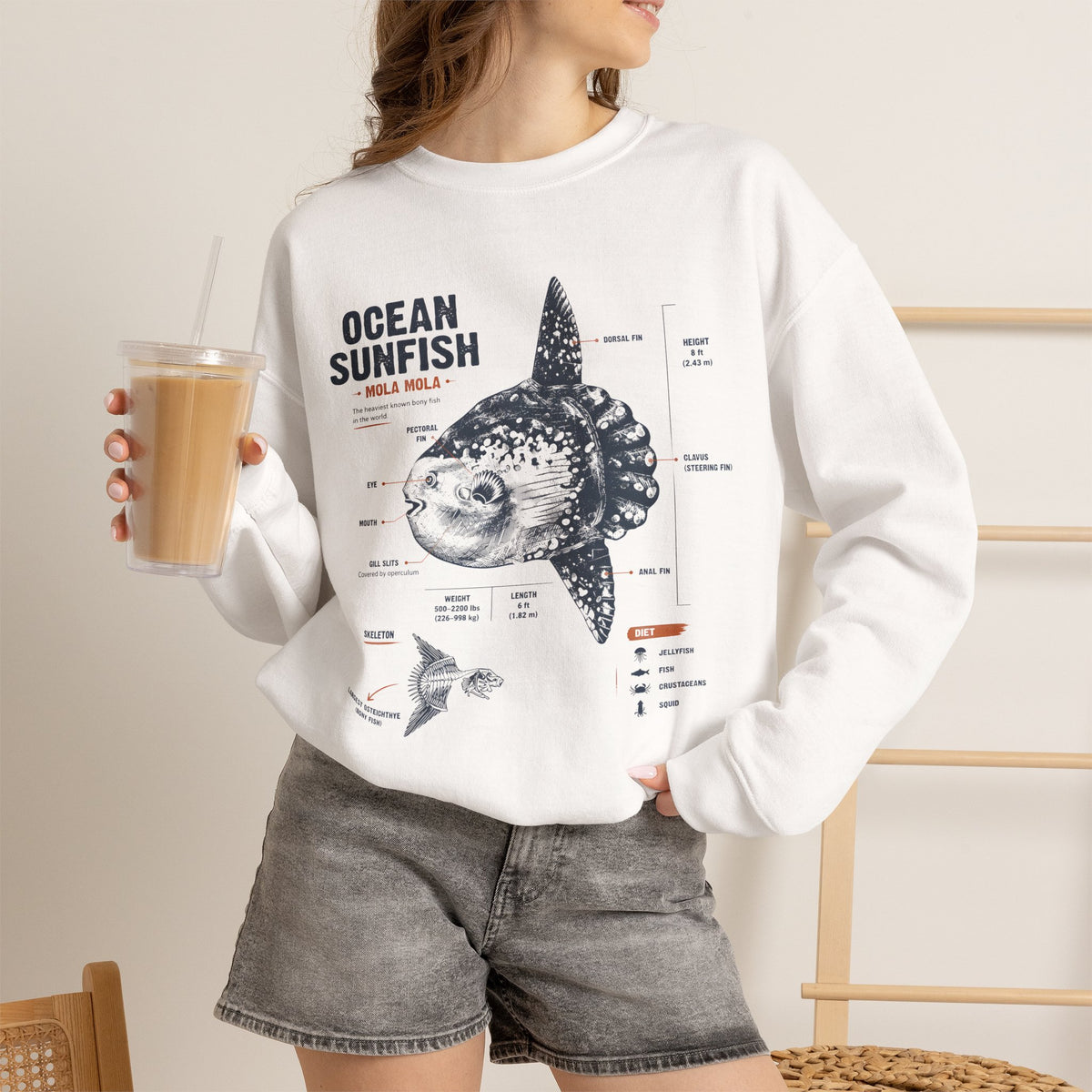 Ocean Sunfish Illustration Sweatshirt — Mola Mola Anatomy Crewneck