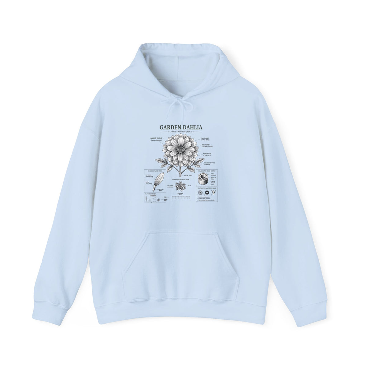 Dahlia Botanical Hoodie — Vintage Garden Diagram Sweatshirt
