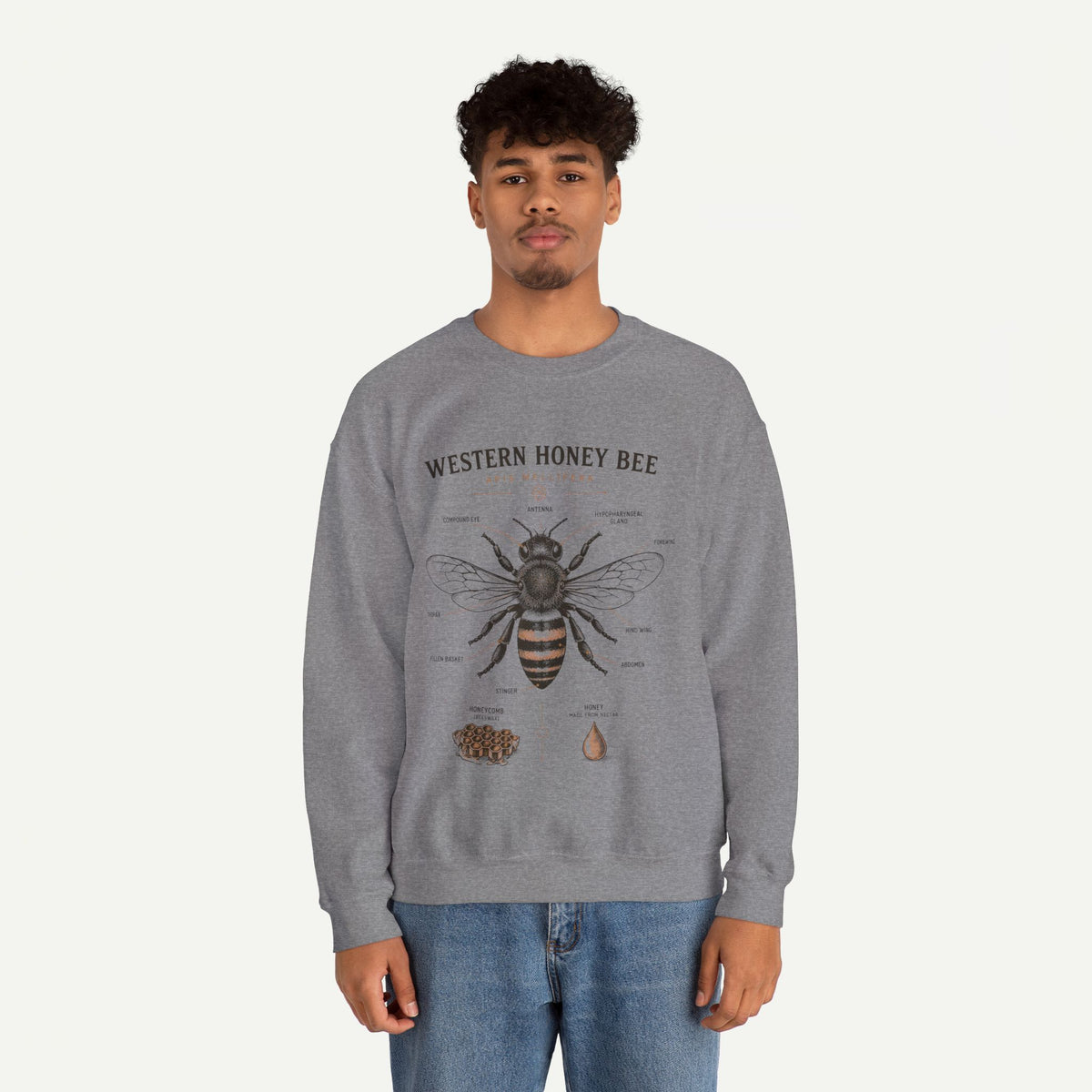 Western Honey Bee Sweatshirt — Vintage Bee Anatomy Graphic