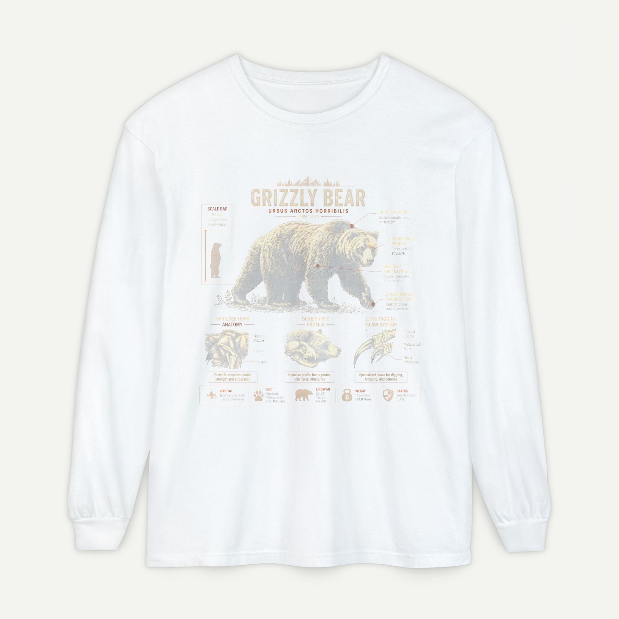 Grizzly Bear Anatomy Long Sleeve T‑Shirt Secondary image