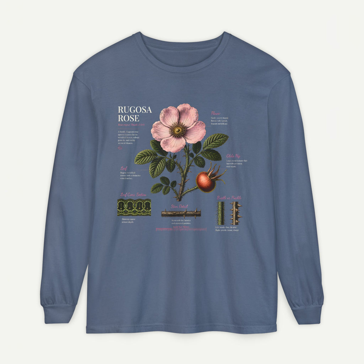 Botanical Rose Hip Anatomy Long Sleeve Tee