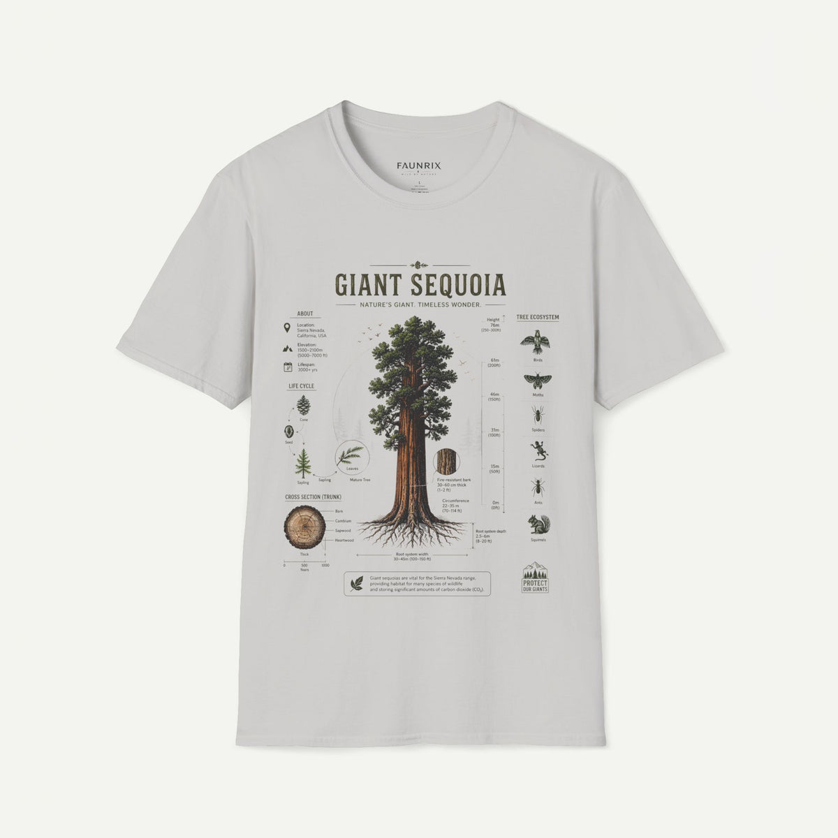 Giant Sequoia Anatomy T-Shirt — Botanical Tree Illustration Tee