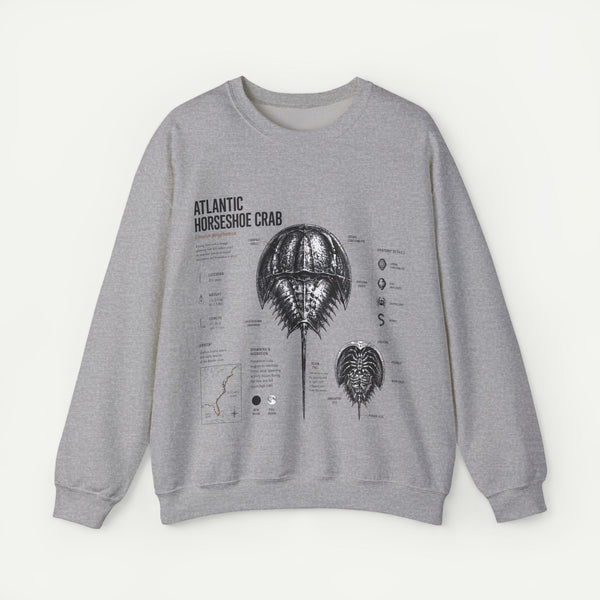 Horseshoe Crab Anatomy Sweatshirt — Atlantic Horseshoe Crab Illustration Crewneck