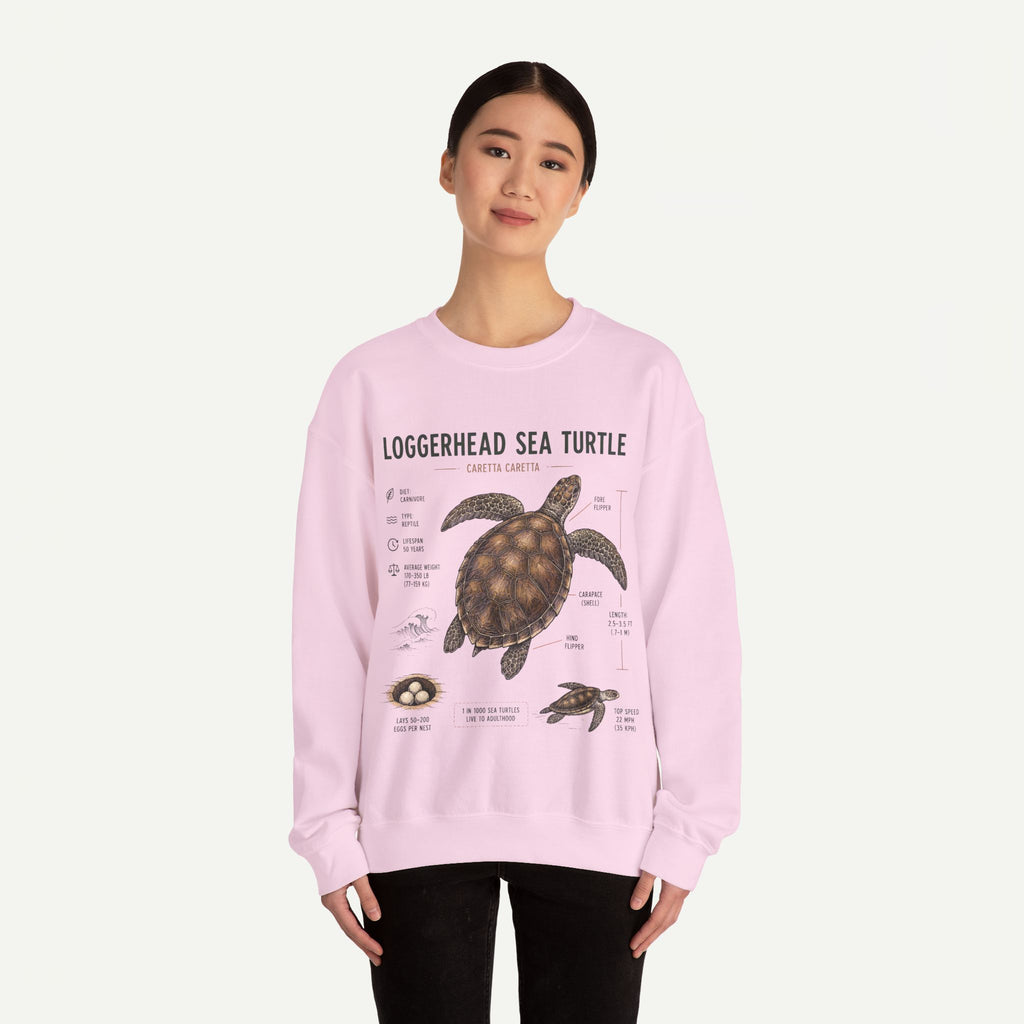 Loggerhead Sea Turtle Anatomy Sweatshirt — Marine Life Educational Crewneck
