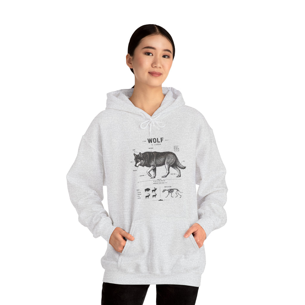 Wolf Anatomy Hoodie – Vintage Wildlife Diagram Sweatshirt