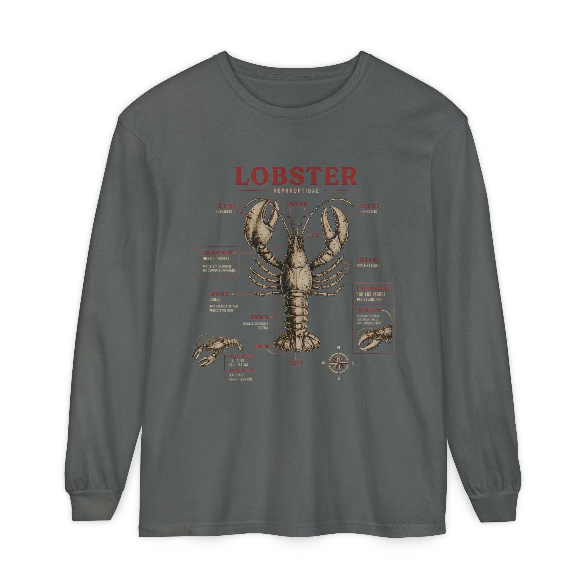 Lobster Anatomy Long Sleeve Tee Secondary image