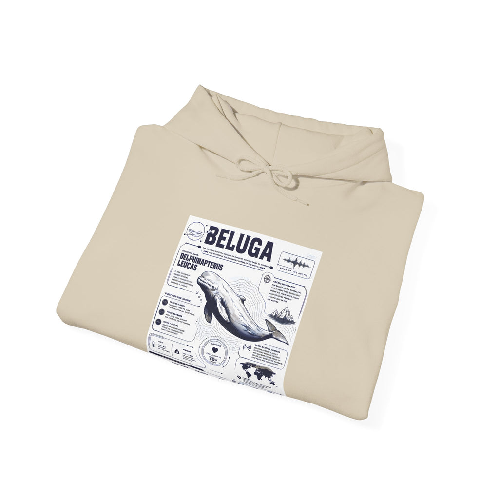 Beluga Whale Graphic Hoodie - Marine Life Diagram Sweatshirt