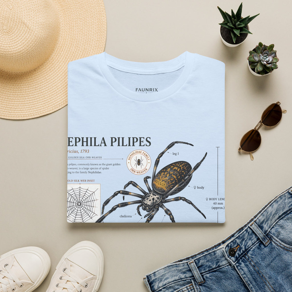 Spider Anatomy T-Shirt — Epephila Pilipis Scientific Illustration Tee