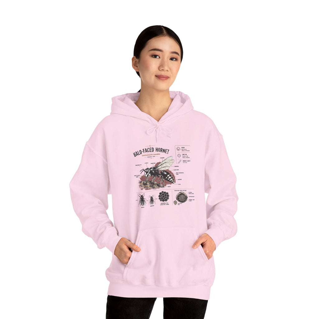 Bee Anatomy Hoodie — Bald-Faced Hornet Illustration & Diagram Sweatshirt