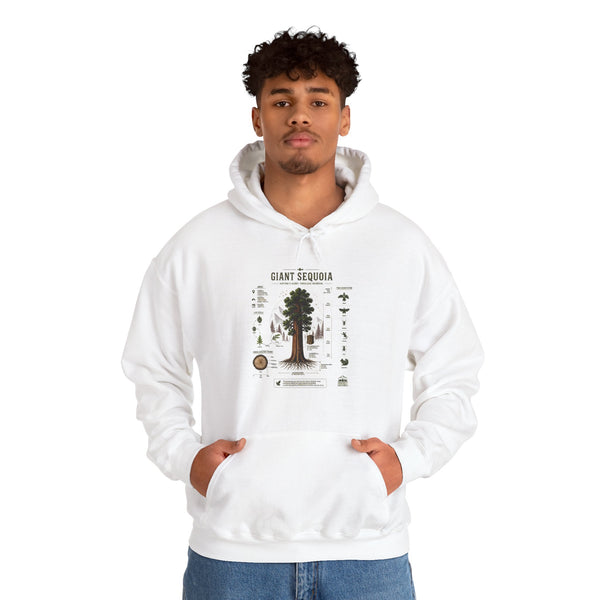 Giant Sequoia Botanical Hoodie — Vintage Tree Illustration & Facts