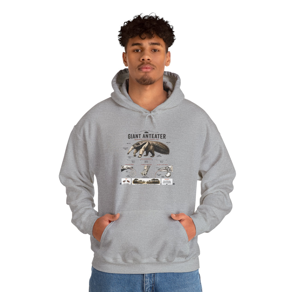 Giant Anteater Anatomy Hoodie — Illustrated Wildlife Diagram Sweatshirt