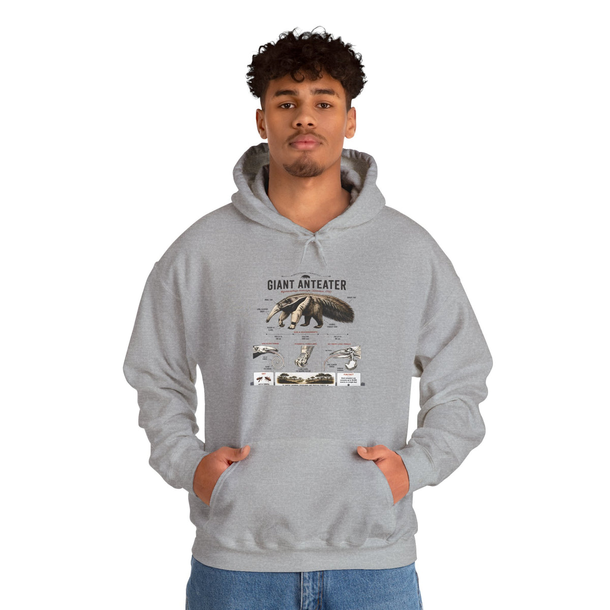 Giant Anteater Anatomy Hoodie — Illustrated Wildlife Diagram Sweatshirt