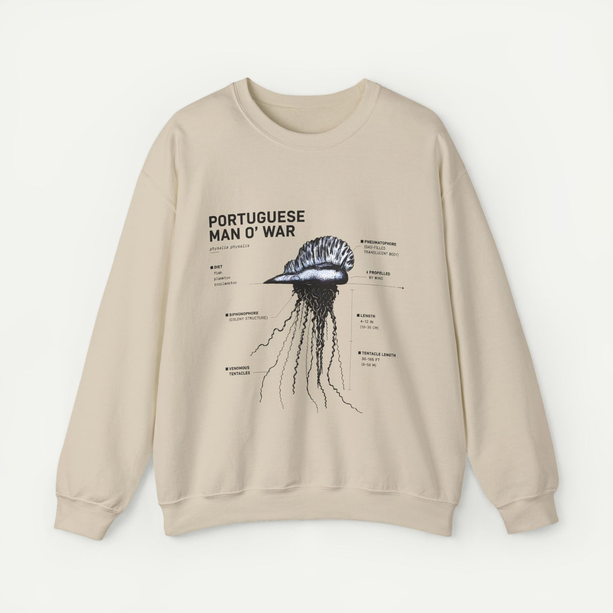 Portuguese Man O' War Anatomy Sweatshirt