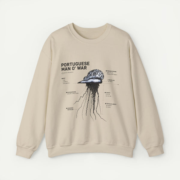 Portuguese Man O' War Anatomy Sweatshirt