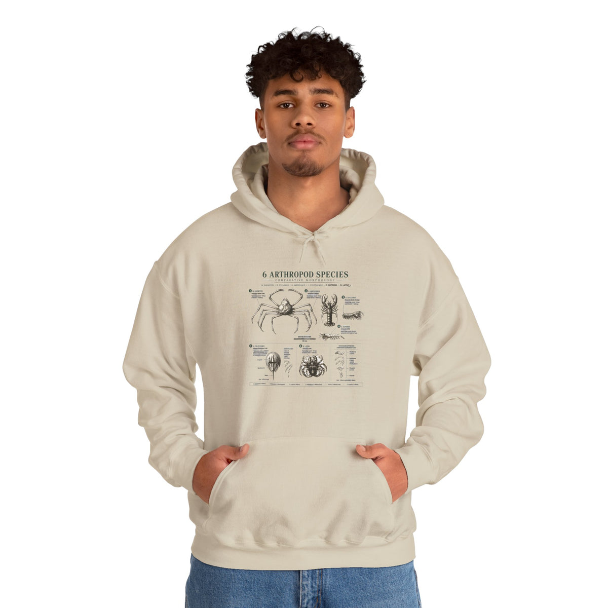 Arthropod Species Hoodie – Vintage Scientific Diagram Sweatshirt