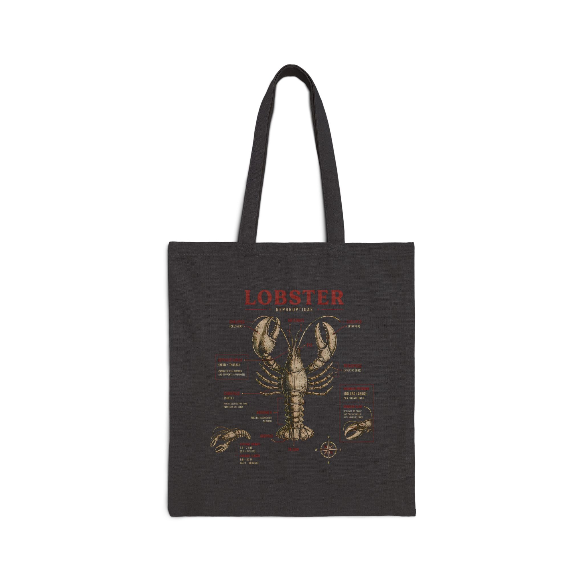 Lobster Anatomy Canvas Tote Bag — Vintage Seafood Illustration Grocery Market Tote Secondary image