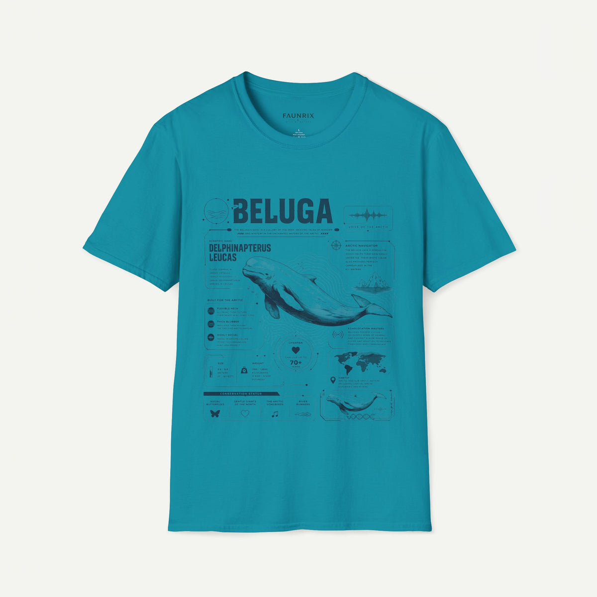 Beluga Whale Anatomy T-Shirt — Marine Life Illustration Tee Delphinapterus leucas