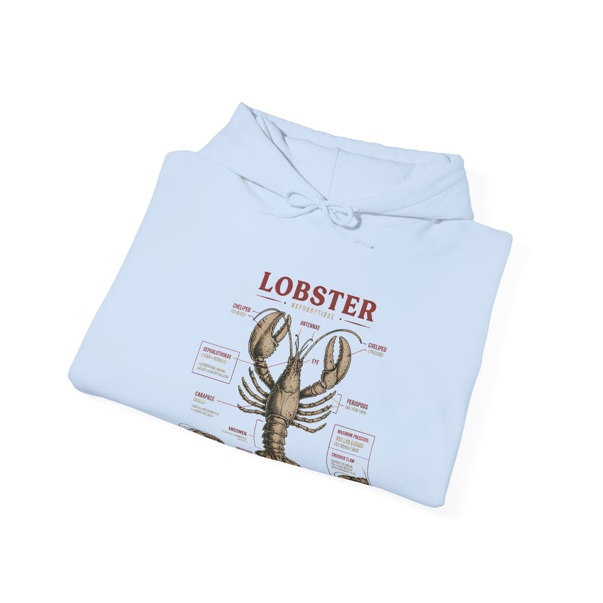 Lobster Anatomy Hoodie – Nautical Seafood Illustration Pullover