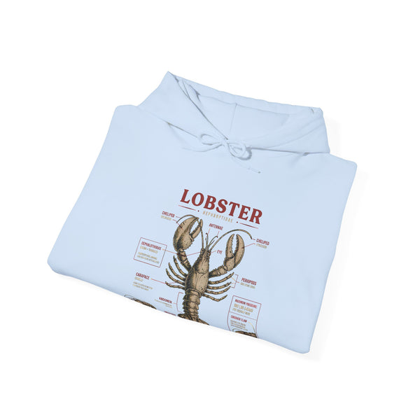 Lobster Anatomy Hoodie – Nautical Seafood Illustration Pullover