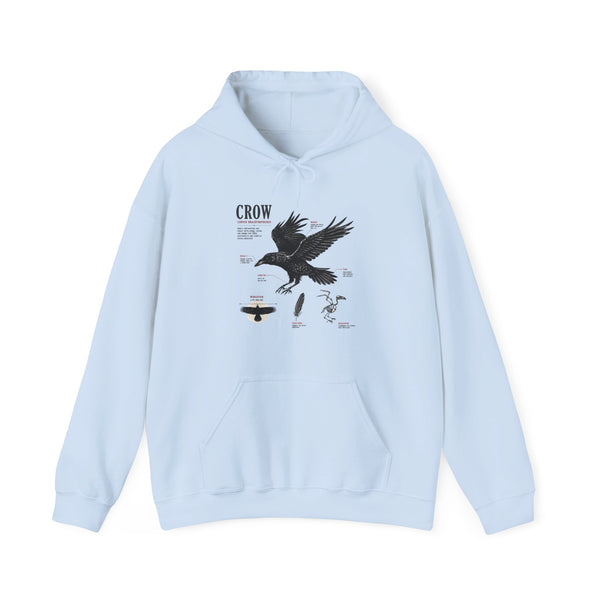 Crow Anatomy Hoodie — Vintage Raven Diagram Hooded Sweatshirt
