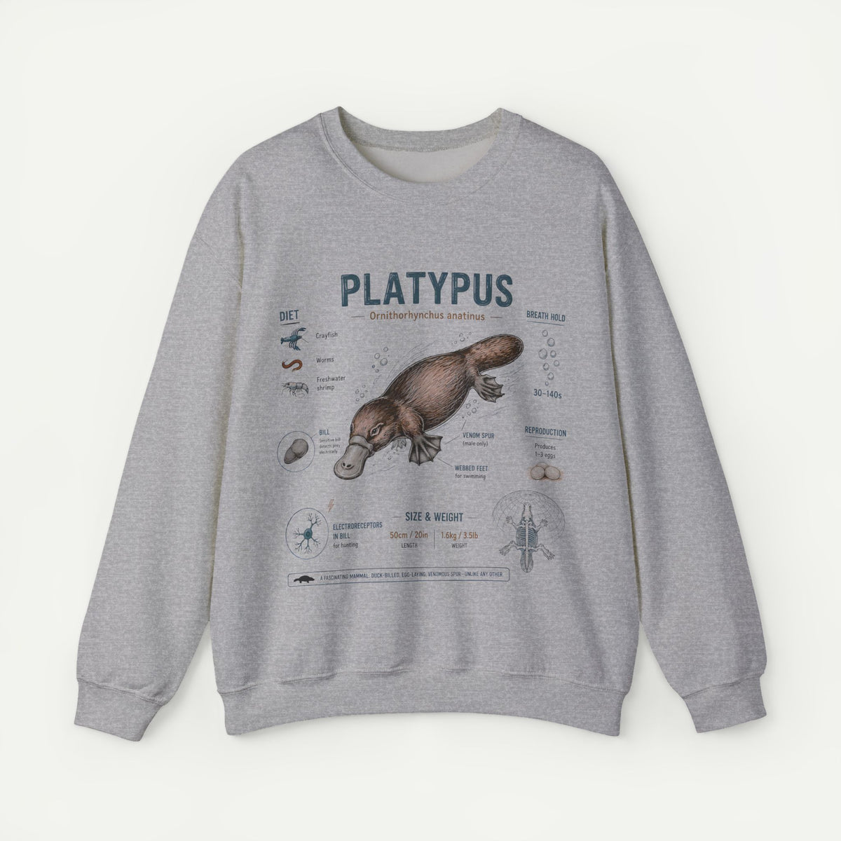 Platypus Anatomy Sweatshirt — Vintage Scientific Illustration