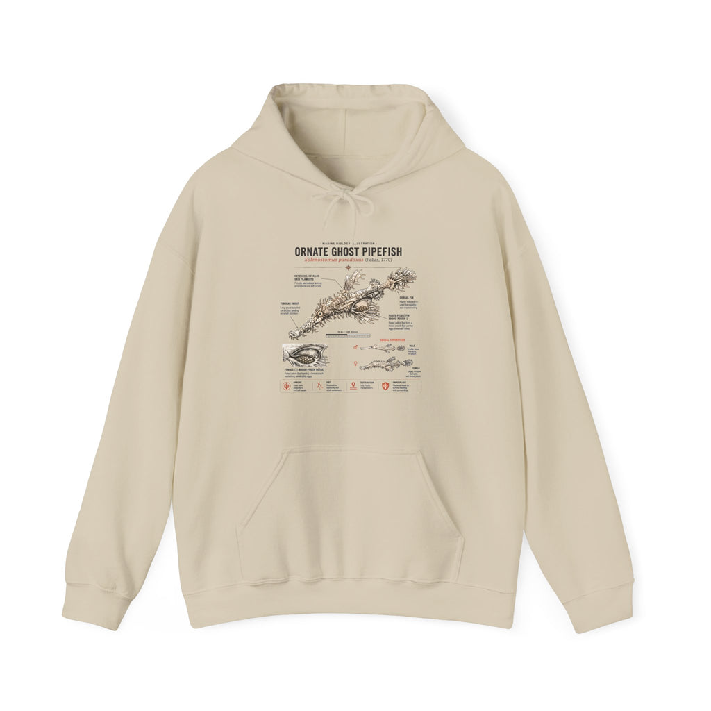 Ornate Ghost Pipefish Anatomy Hoodie — Scientific Diagram Pullover