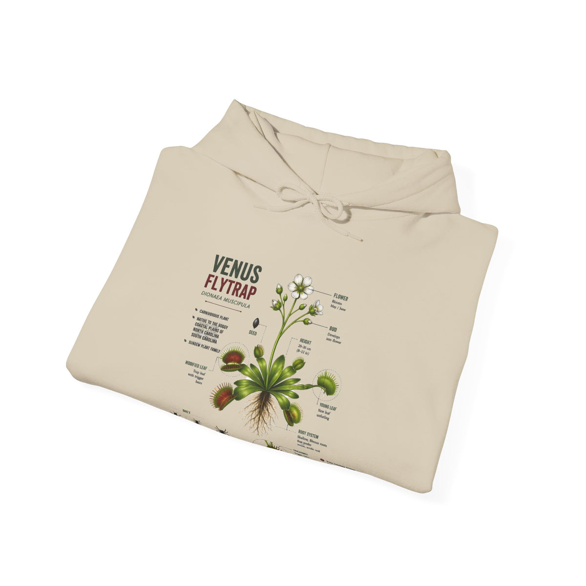 Venus Flytrap Botanical Hoodie – Illustrated Carnivorous Plant Guide