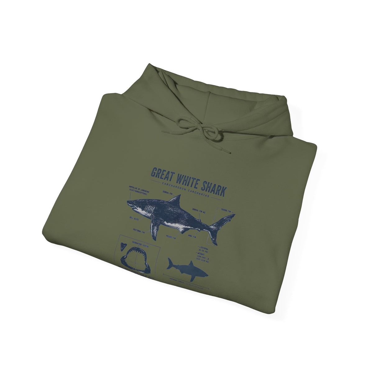 Shark Diagram Hoodie — Great White Shark Anatomy Graphic Sweatshirt