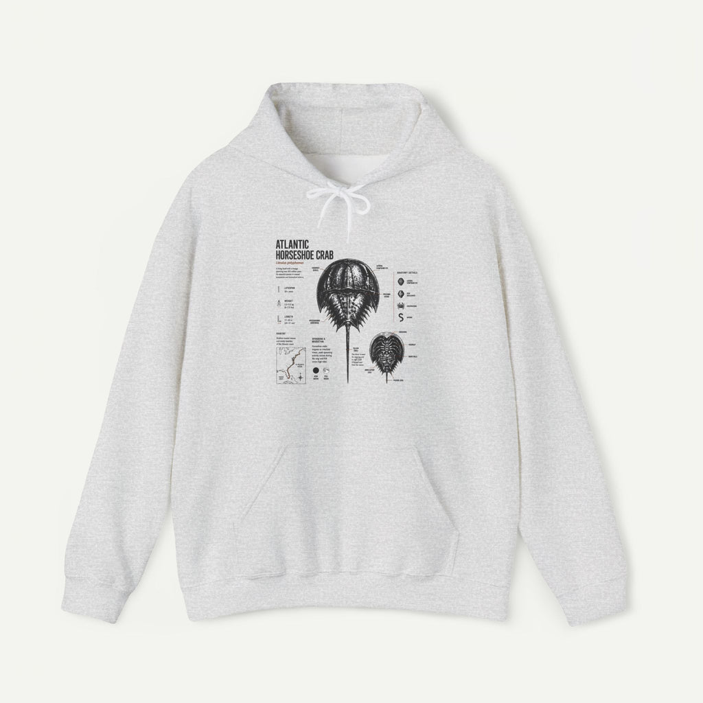 Horseshoe Crab Anatomy Hoodies