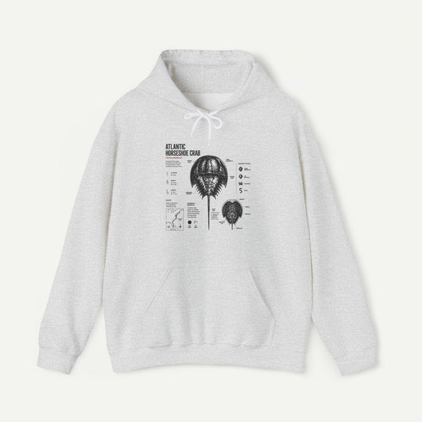 Horseshoe Crab Anatomy Hoodies