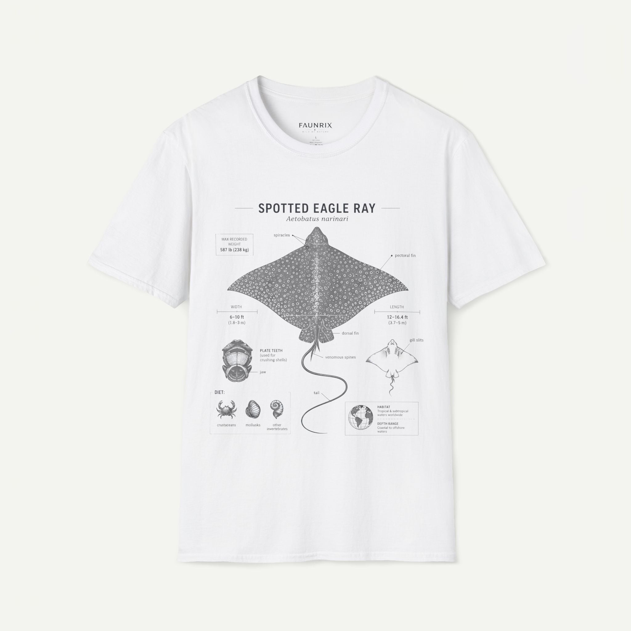 Spotted Eagle Ray Anatomy T-Shirt — Marine Life Graphic Tee Secondary image