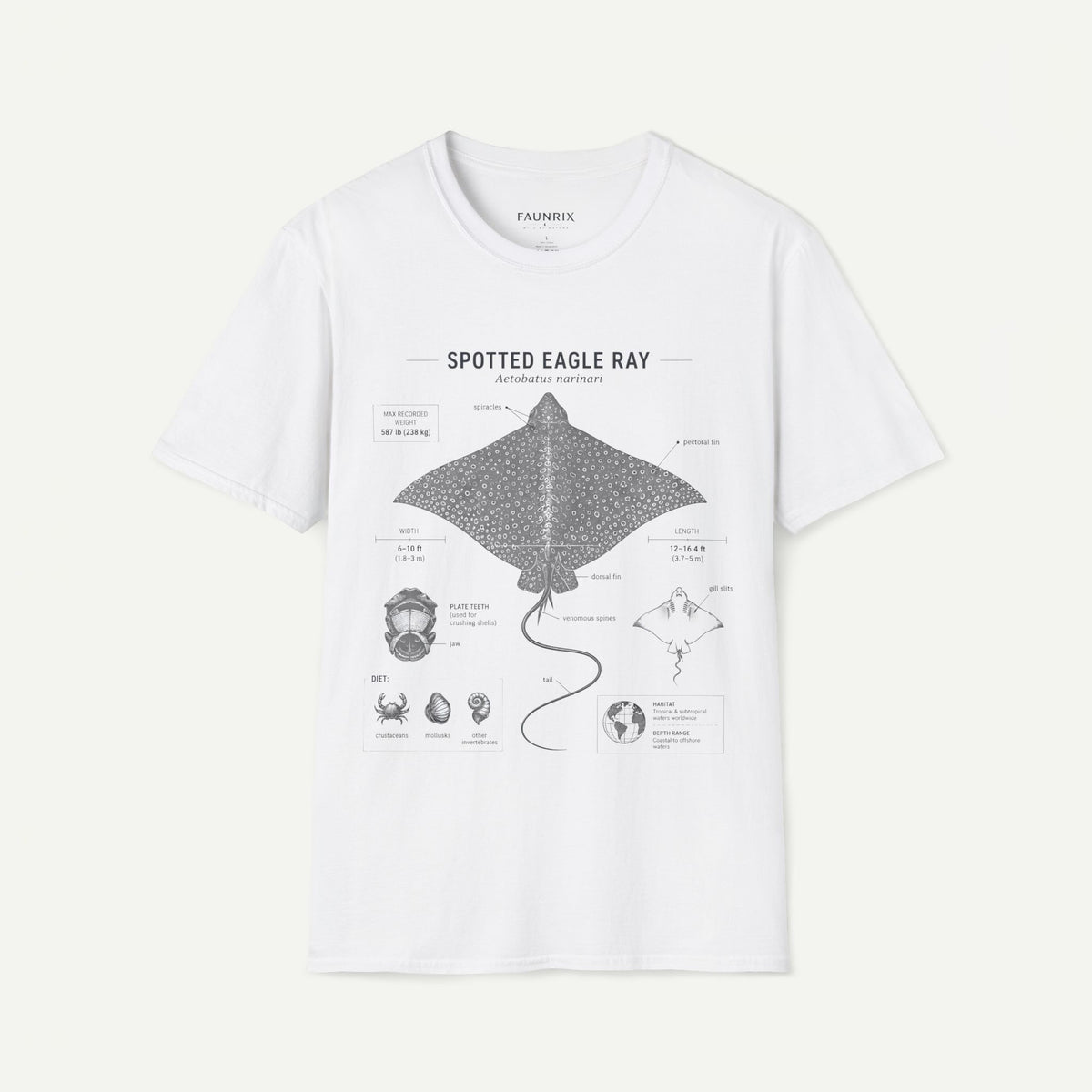 Spotted Eagle Ray Anatomy T-Shirt — Marine Life Graphic Tee