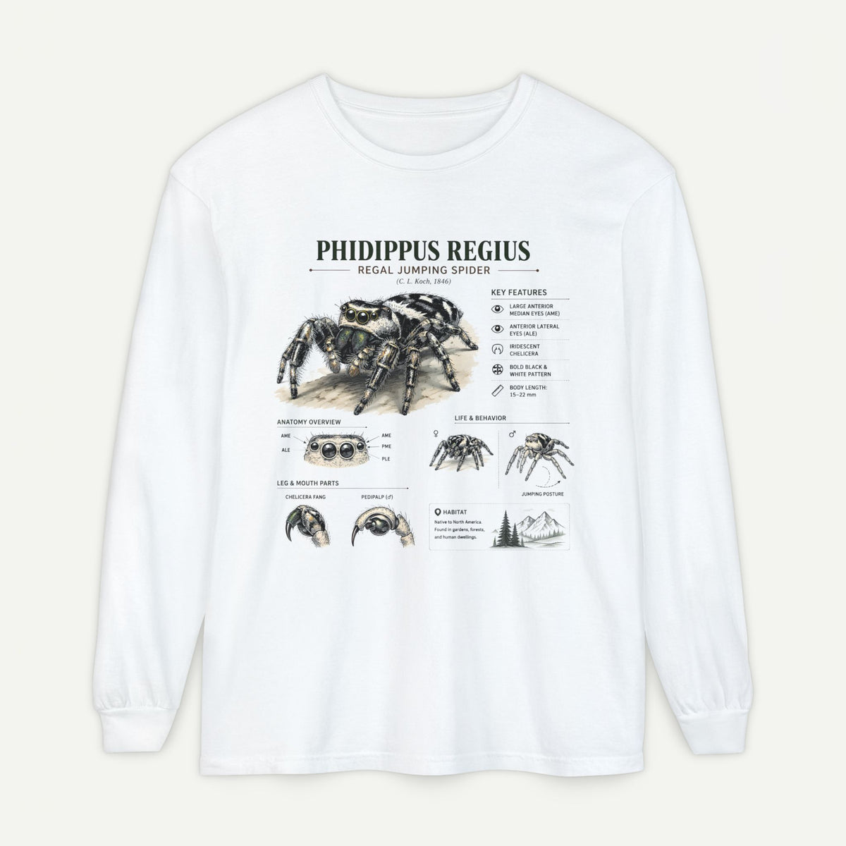 Phidippus Regius Jumping Spider Illustration Long Sleeve Tee Main image