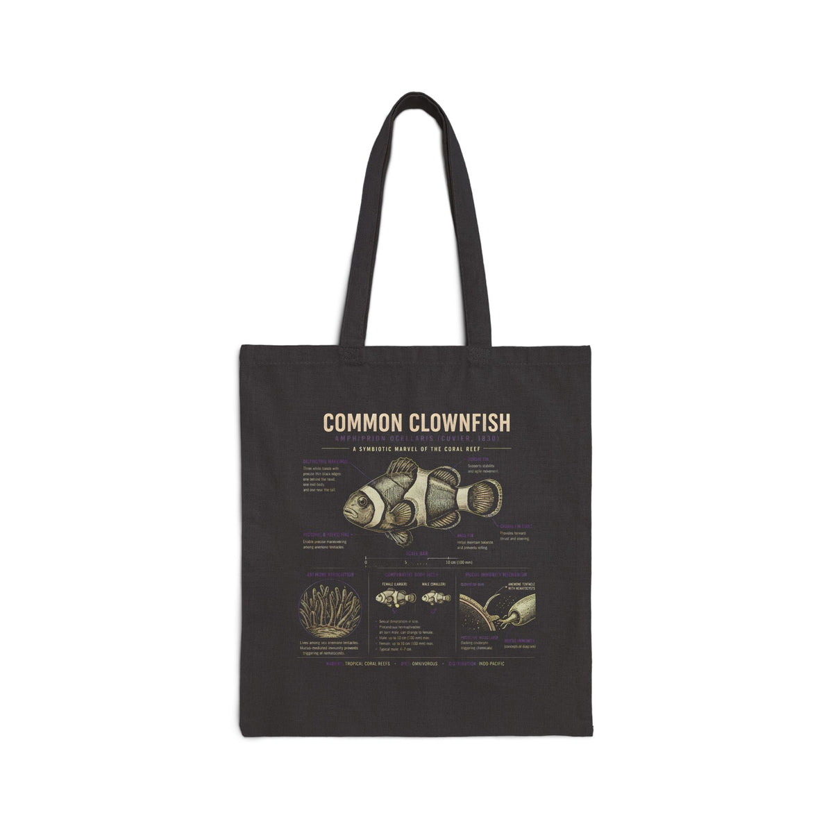 Clownfish Anatomy Canvas Tote Bag — 'Common Clownfish' Marine Biology Illustration