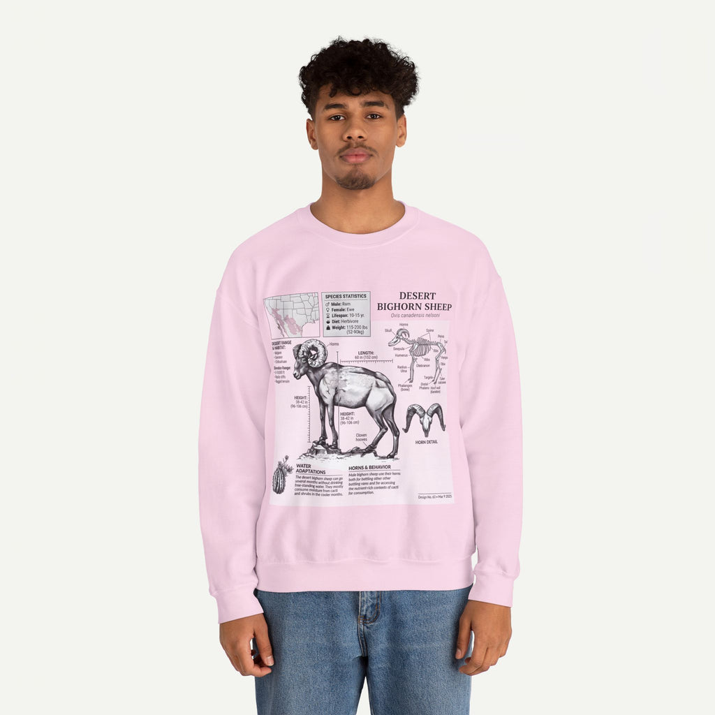 Desert Bighorn Sheep Anatomy Sweatshirt