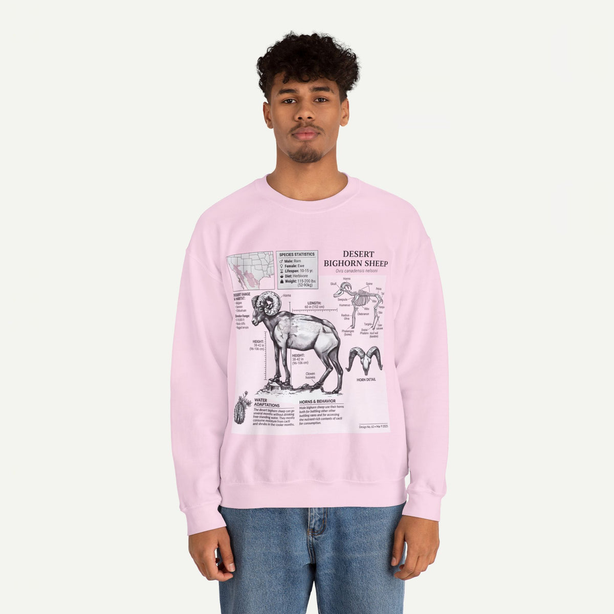 Desert Bighorn Sheep Anatomy Sweatshirt