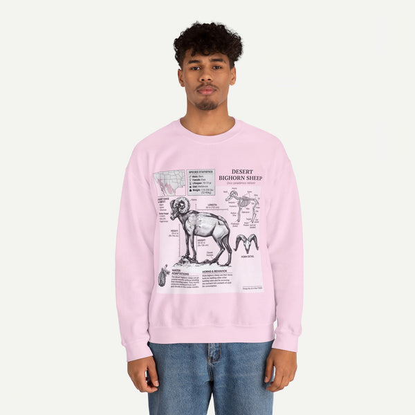 Desert Bighorn Sheep Anatomy Sweatshirt