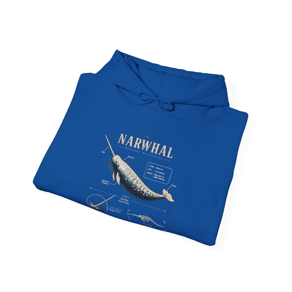 Narwhal Hoodie — Vintage Tailplane Illustration, Aviation Crew Sweatshirt