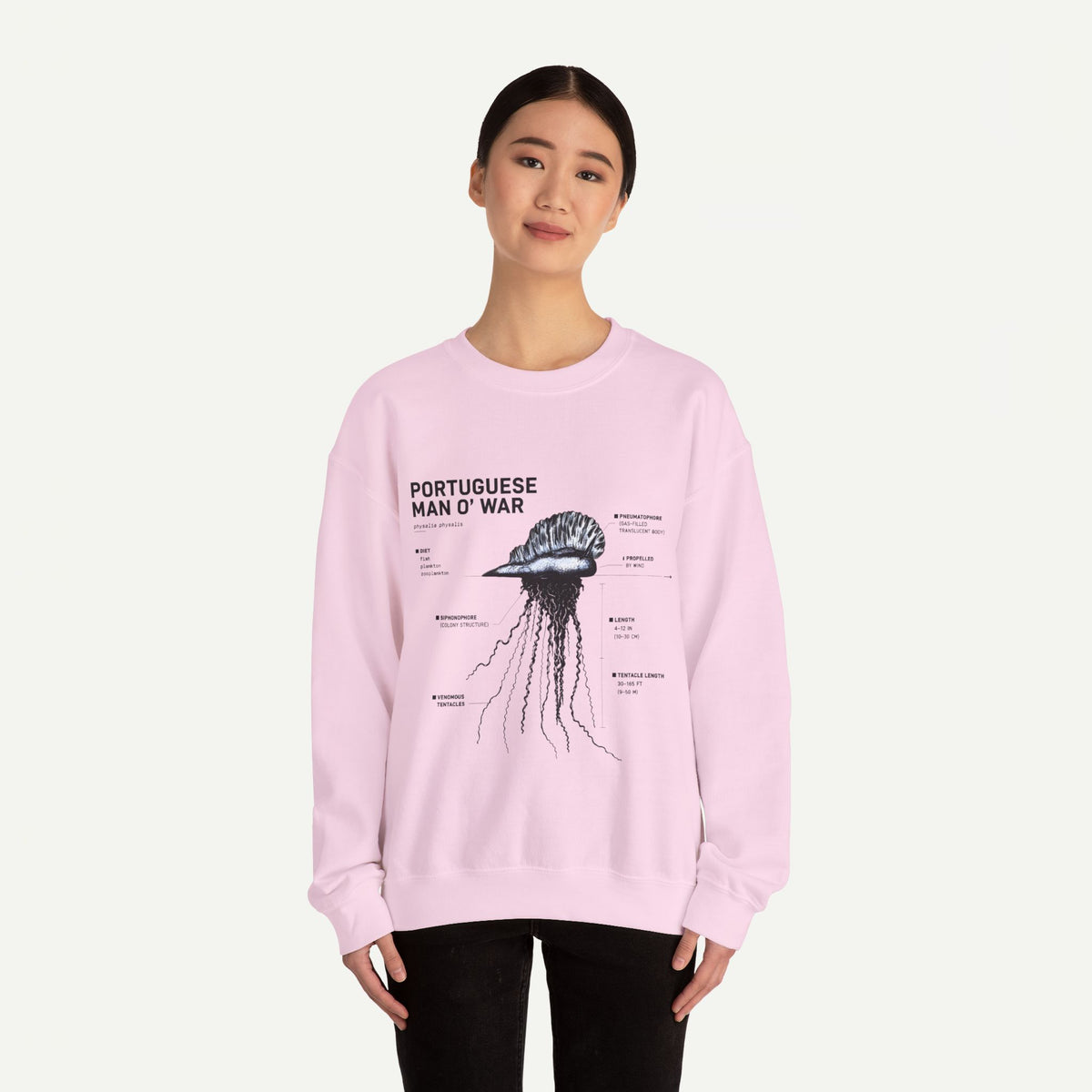 Portuguese Man O' War Anatomy Sweatshirt