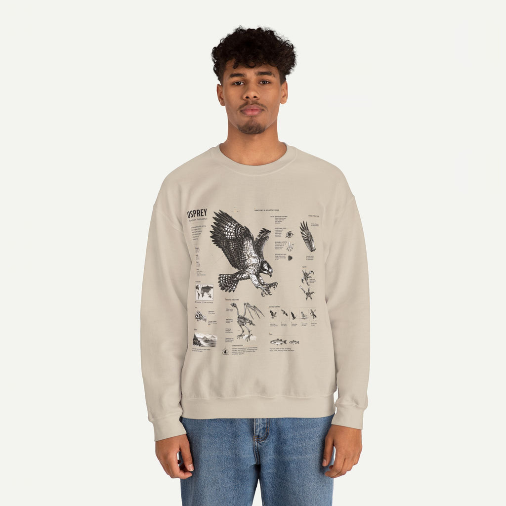 Osprey Anatomy Sweatshirt — Illustrated Bird Guide Pullover
