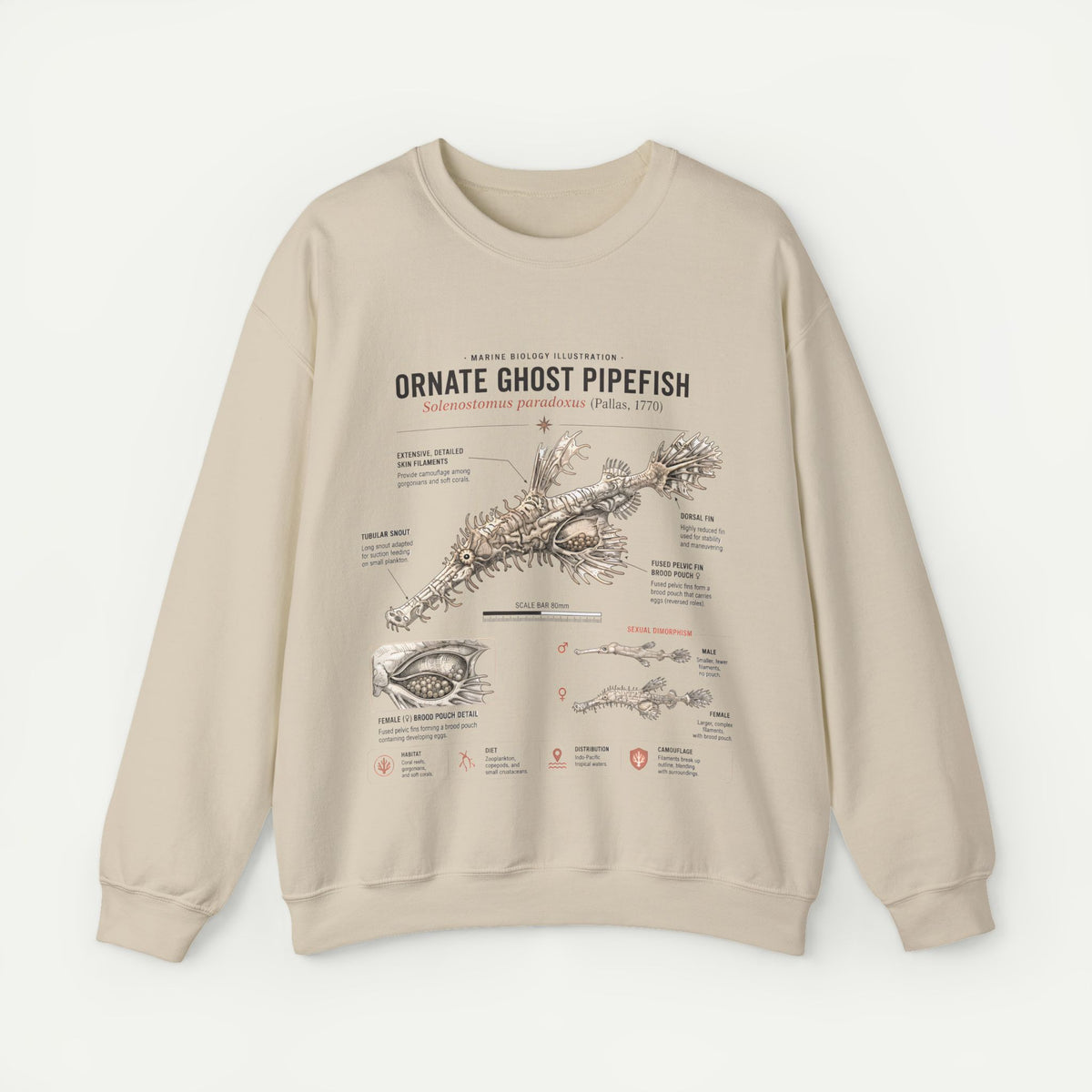 Ornate Ghost Pipefish Anatomy Sweatshirt