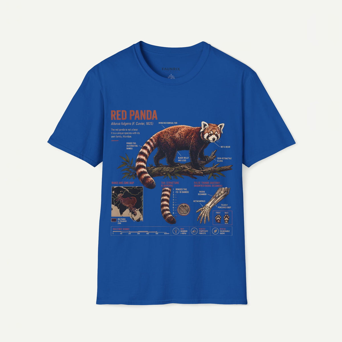Red Panda Anatomy T-Shirt — Vintage Wildlife Graphic Tee Main image