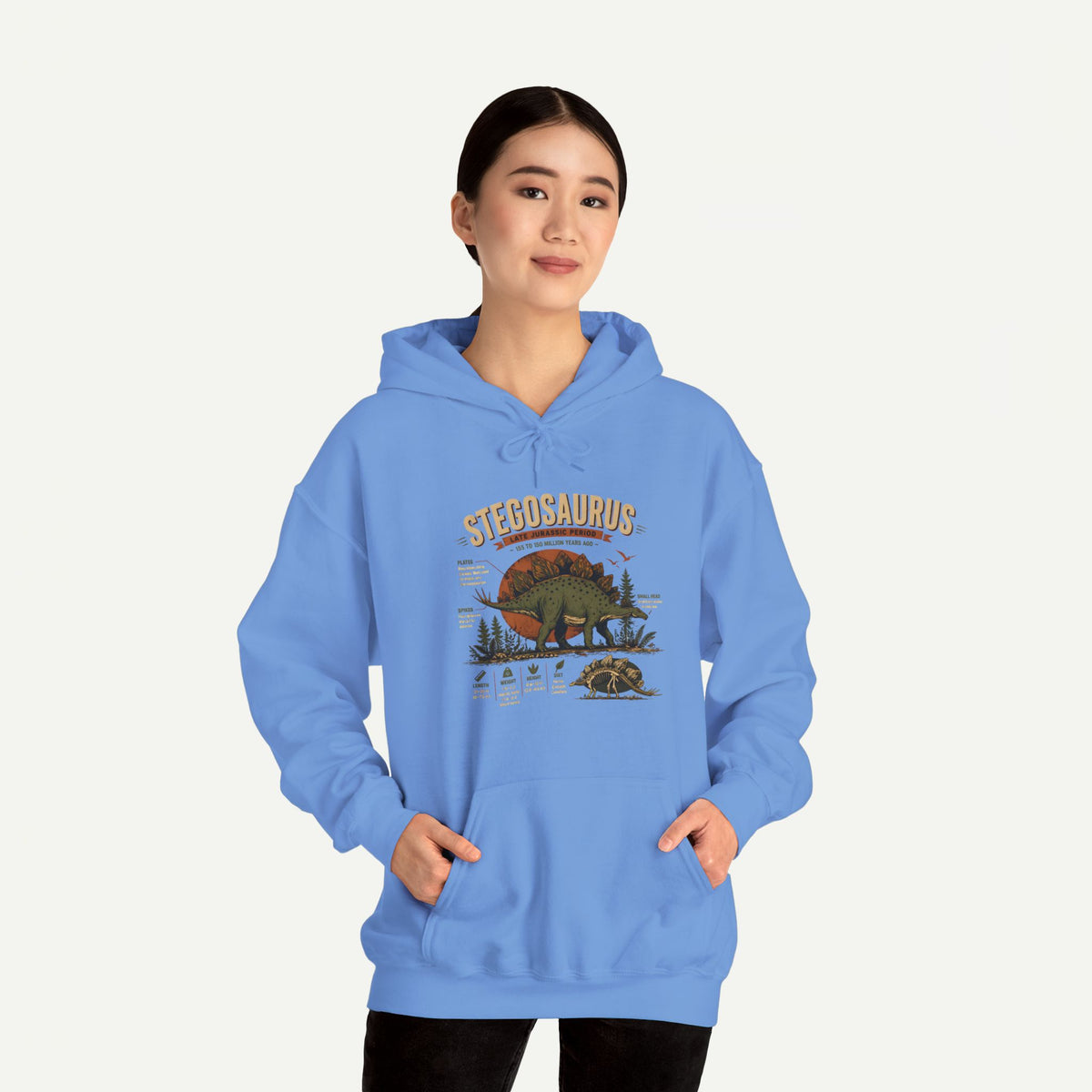 Stegosaurus Vintage Anatomy Hoodie – Retro Dino Nature Sweatshirt