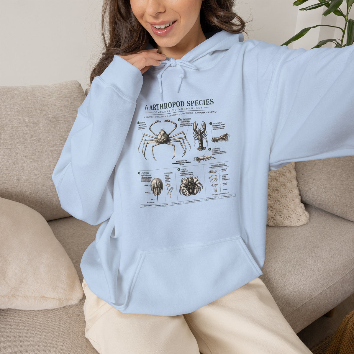 Arthropod Species Hoodie – Vintage Scientific Diagram Sweatshirt